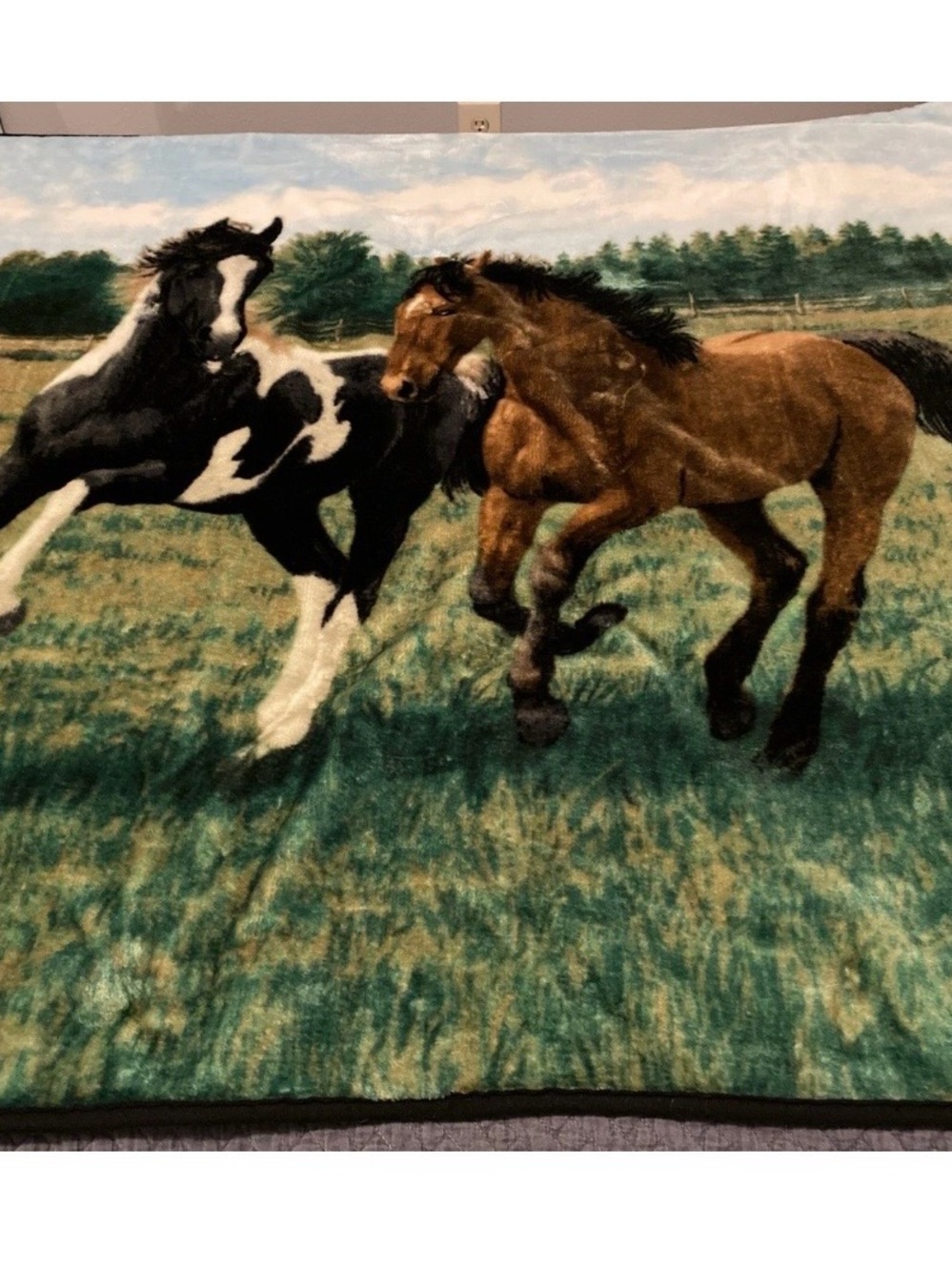 Northwest Company Horse Throw Blanket Plush Fleece - Persis Clayton Weirs 48x60”